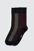 Puppytooth Socks Box image