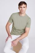 Sage Green Cotton Crew Neck T-Shirt image