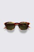 Tortoise Eagle Sunglasses image
