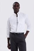 Ecru Brushed Cotton Oxford Shirt image