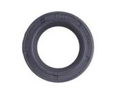 Briggs &amp; Stratton Oil Seal 391483S