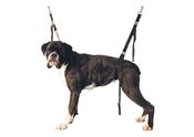 GROOMING BELLY NOOSE SET NYLON FOR SMALL- MEDIUM DOGS