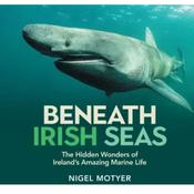 Beneath Irish Seas