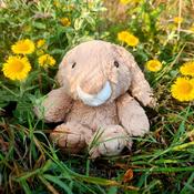 Carte Blanche Rosie the Rabbit 21cm
