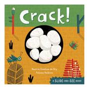 Crack image