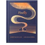 Firefly image