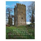 The Irish Aesthete: Buildings of Ireland, Known and Unknown