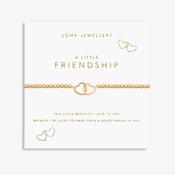 A Little Friendship Bracelet image