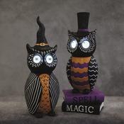 Led Owl Wizard 42cm