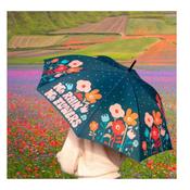 Fisura - Umbrella No Rain No Flowers image