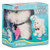 Walking Westie Dog