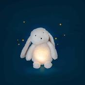 Light Up Rabbit Puce &amp; Pilou