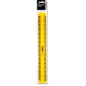Student Solutions 30cm Technical Ruler - Engineer