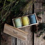 Herb Dublin Trio Candle Set