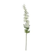 Delphinium White - 178Cm image