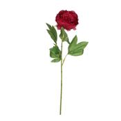 Peony Red - 176Cm image