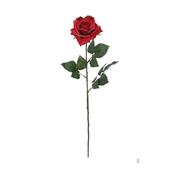 Rose Emily D. Red - 166Cm 