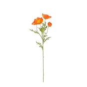 Poppy Orange - 162Cm image