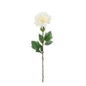 Dahlia White - 175Cm image