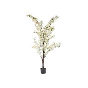 Smart Garden Cherry Blossom Tree White 140Cm  image