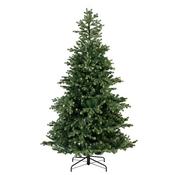 Geneva Fir 7Ft