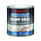 Thompsons One Coat Damp Seal 250Ml image