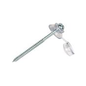 Premium Choice Roofing Screws &amp; Washers 50Pk