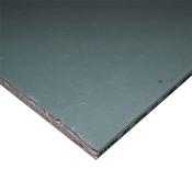 Plasterboard Moisture 8Ft X 4Ft 12Mm