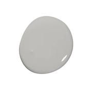 Colourtrend Tester Silver Moonlight 100Ml image