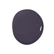 Colourtrend Tester Bramble 100Ml image