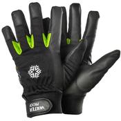 Tegera Gloves Winter S8 image