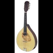 Gewa Flat Mandola Port Shape