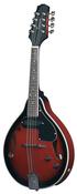 Gewa Tenson A 1E Folk Mandolin image