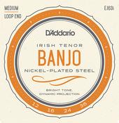 D'Addario EJ63I Irish Tenor Banjo 4 Strings Nickel - Plated Steel image