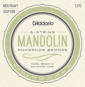D'Addario EJ75 11.5-41 Mandolin Strings Phosphor Bronze image
