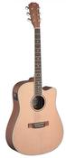 James Neligan Asyla Series Electro-Acoustic Dreadnought Guitar Cutaway image