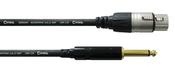 Cordial Intro 5M Microphone Cable image