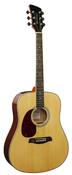 Brunswick Dreadnought Guitar Natural Lefthand image