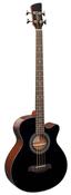 Brunswick Acoustic Bass Electro Black image
