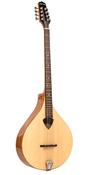 Gold Tone BZ-500 Irish Bouzouki Mandolin+Case image