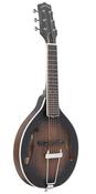 Gold Tone A-6 Mandolin Gt A Shape+Bag image