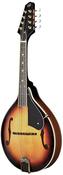 Tennessee Mandolin A2 F-Hole with Case image