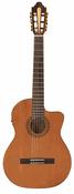 Santos Martinez Allegro Electro C/A Fusion Classic image