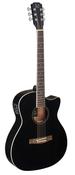 James Neligan BES-ACE Auditorium Electro Acoustic Guitar Spruce Sapele Black image