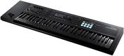 Roland Juno Ds61 Key W/ Black Keys image