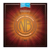 D'Addario NBM1038 Mandolin Strings image