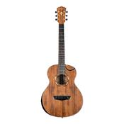 Washburn WCGM55K Mini Comfort Series image