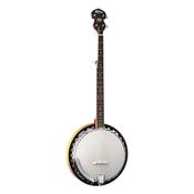 Washburn B9 5 String Bluegrass Banjo Closed Back