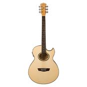 Washburn EA20 Flame Maple Guitar image