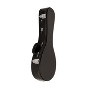 TGI Case Wood Mandolin  A Style image